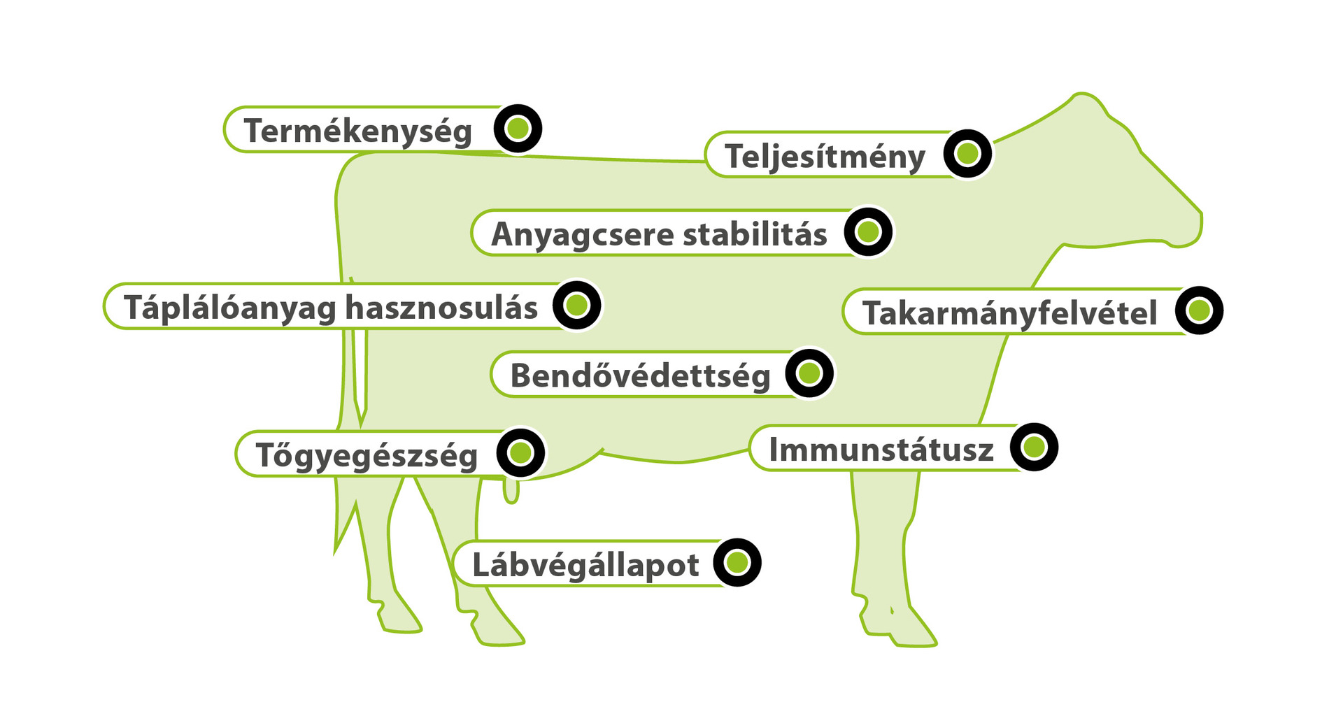 AMINOTRACE