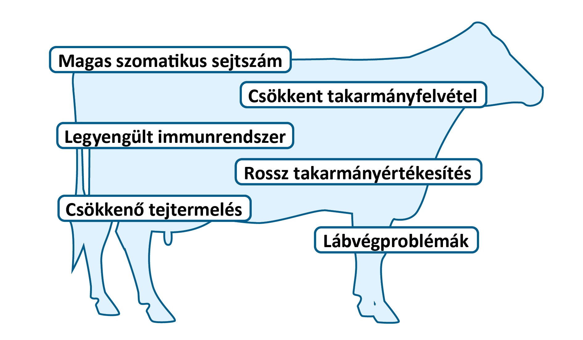 A toxinok, élesztők és penészek