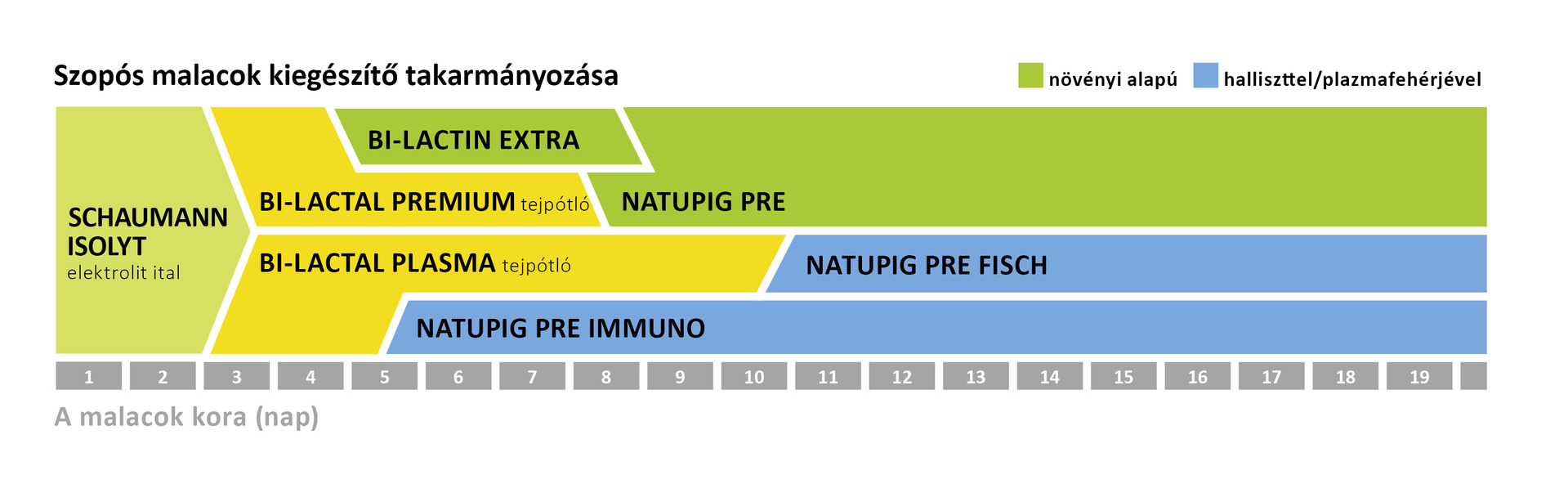 Malacok kiegészítő takarmányozása Malacok kiegészítő takarmányozása