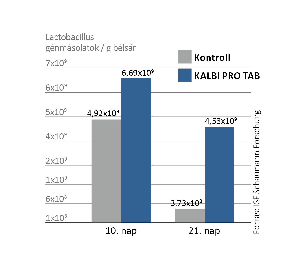 A KALBI PRO TAB tejsavbaktériumai hamar és hosszantartóan megtelepednek a bélben