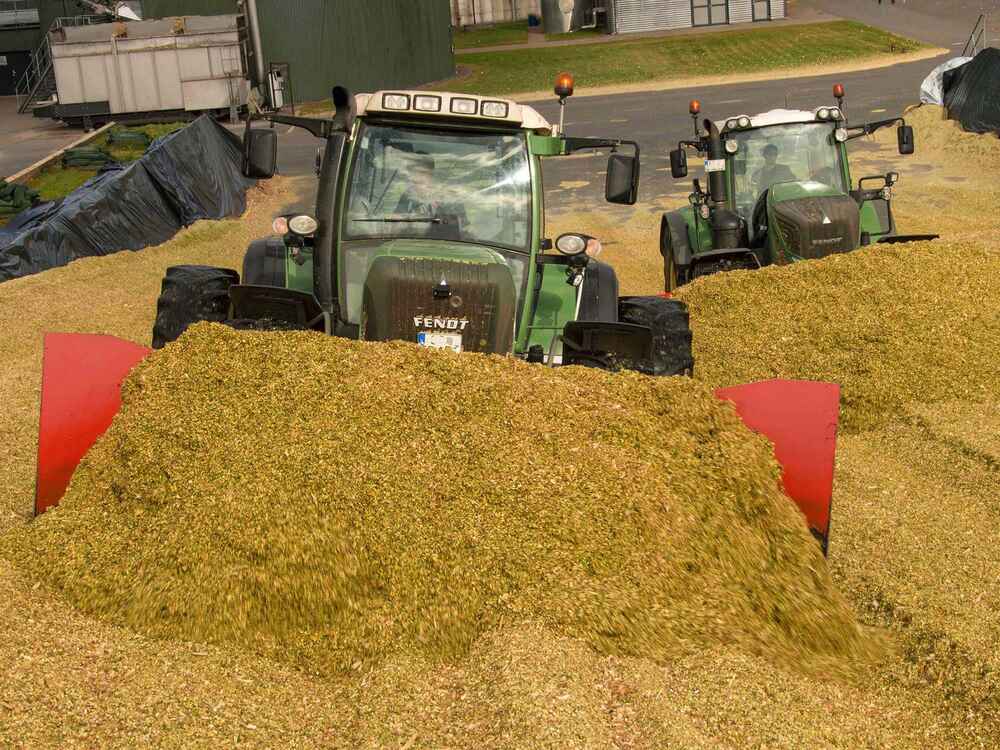 Kukoricaszilázs - Mérhetően gyorsabb erjedés a BONSILAGE Speed M alkalmazásával