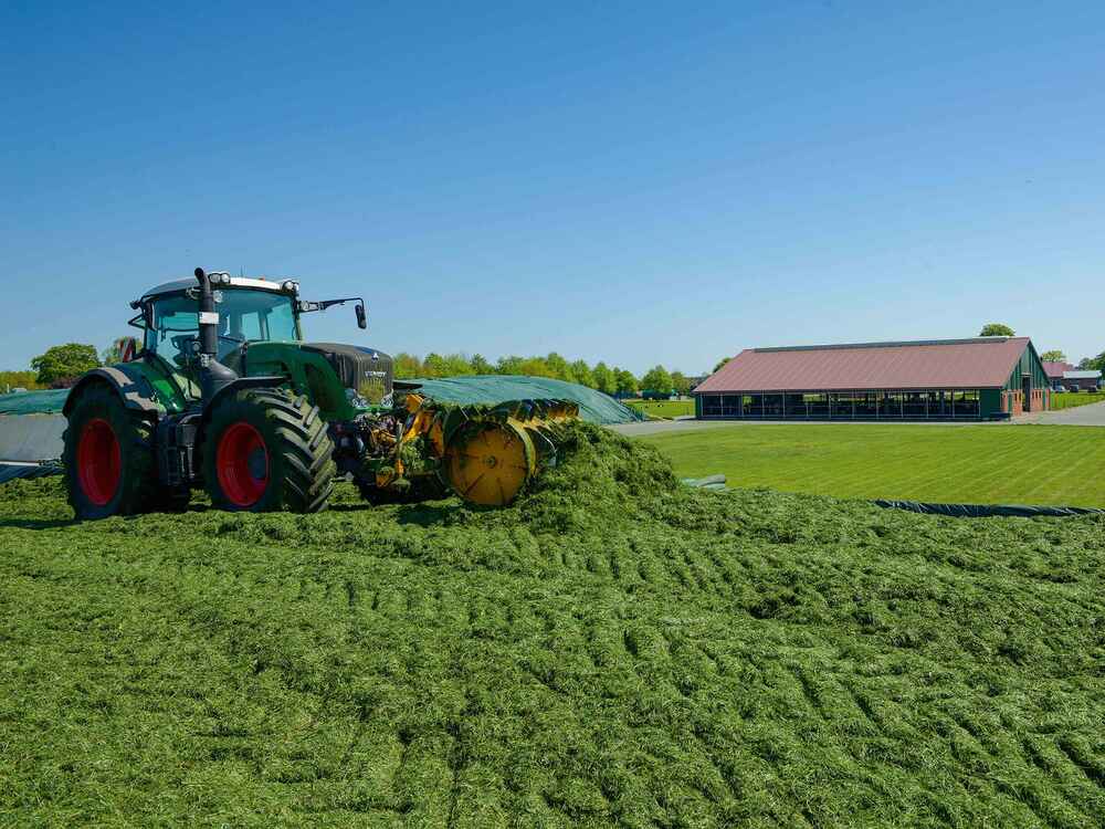 Jó szilázst a Bonsilage-al – eredmények számokban