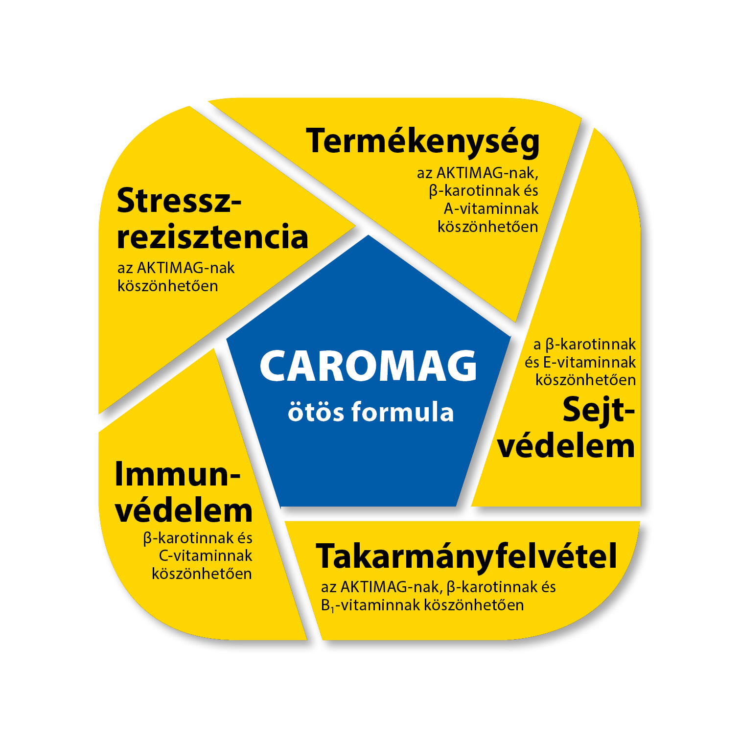 CAROMAG 