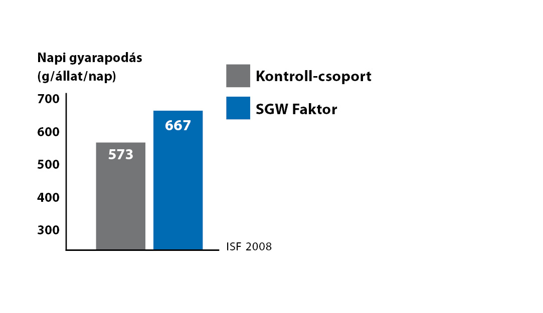 SGW-Faktor