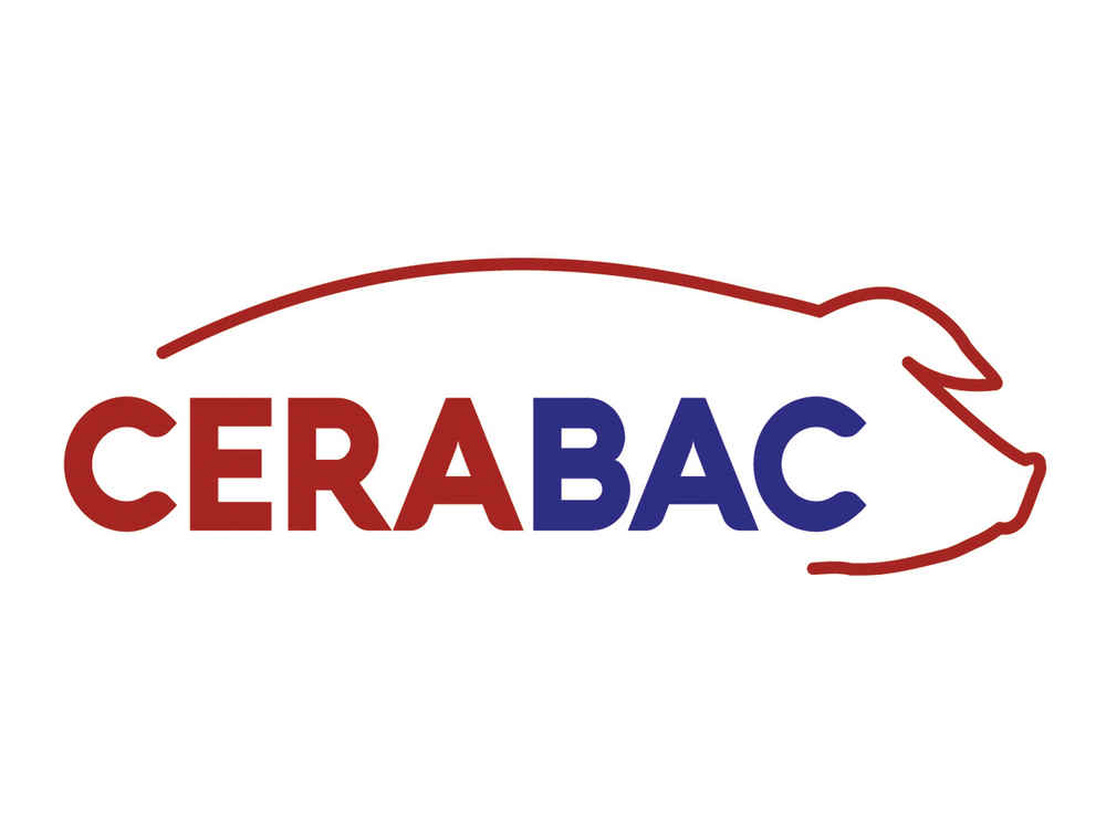 A CERABAC gátolja a patogéneket-és támogatja az immunrendszert