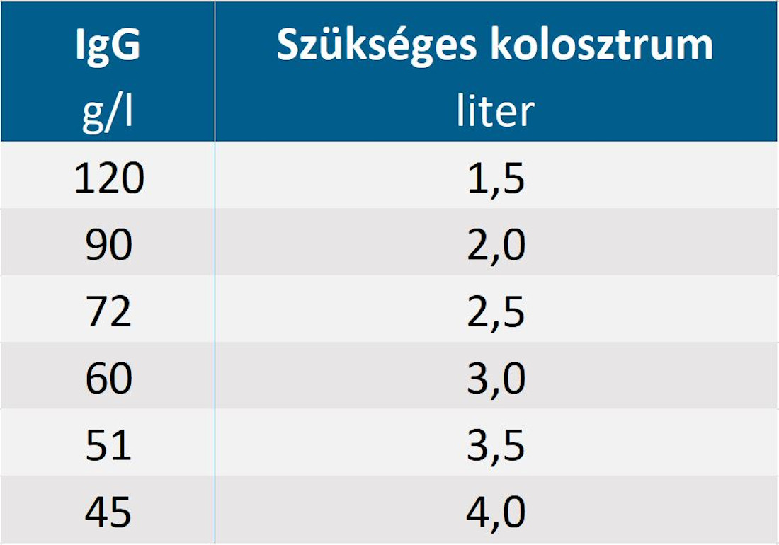 A szükséges kolosztrum mennyisége